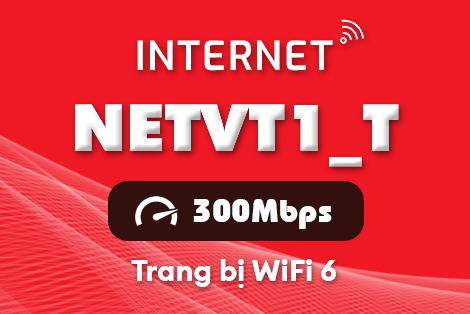 Gói cước NETVT1_T